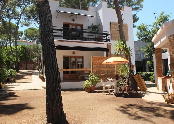 Entre Pinos Pb Beach Apartment